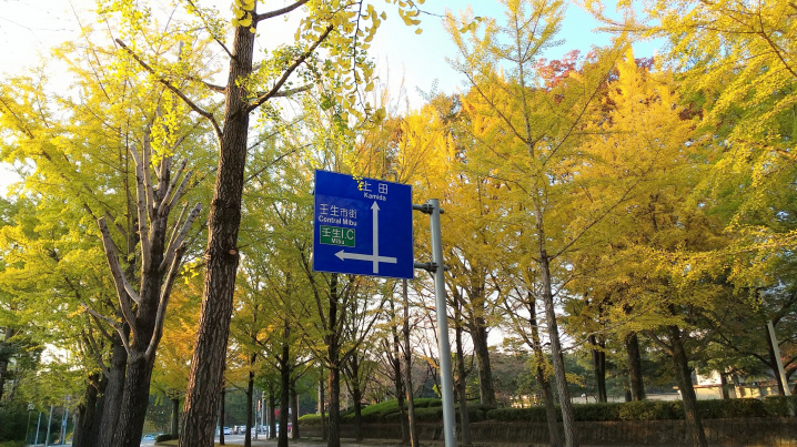 コストコが今夏にオープン。伸びゆくおもちゃのまち。の画像