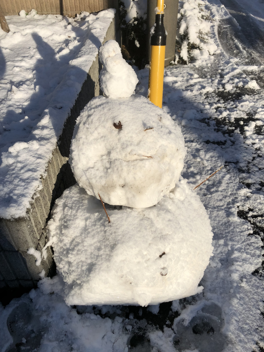 2022.迎春の画像