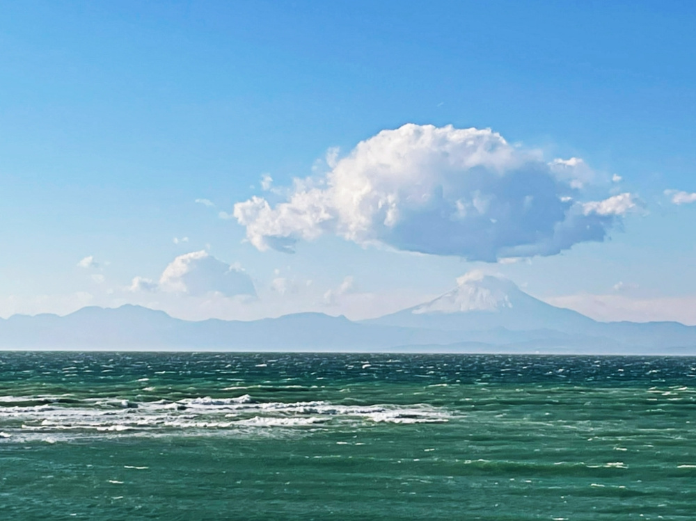 千両の実は縁起ものの画像