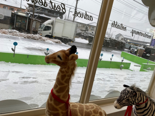 雪の画像
