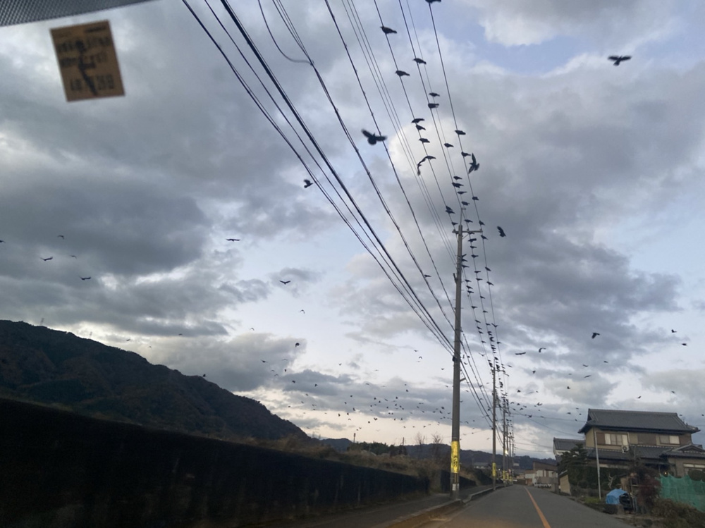 大原野にいったい何がの画像