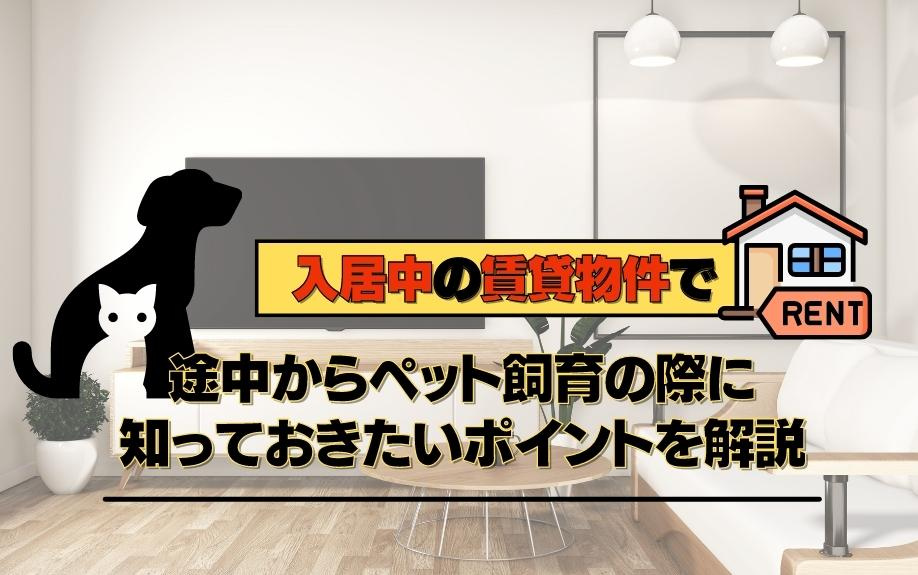 入居中の賃貸物件で途中からペット飼育の際に知っておきたいポイントを解説
