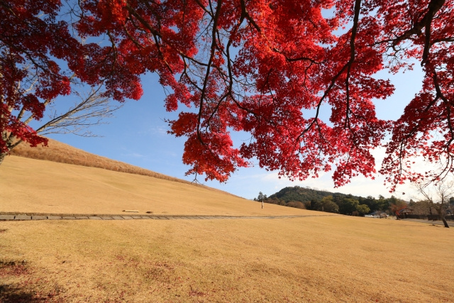 奈良県の天気・気候の特徴＜秋＞
