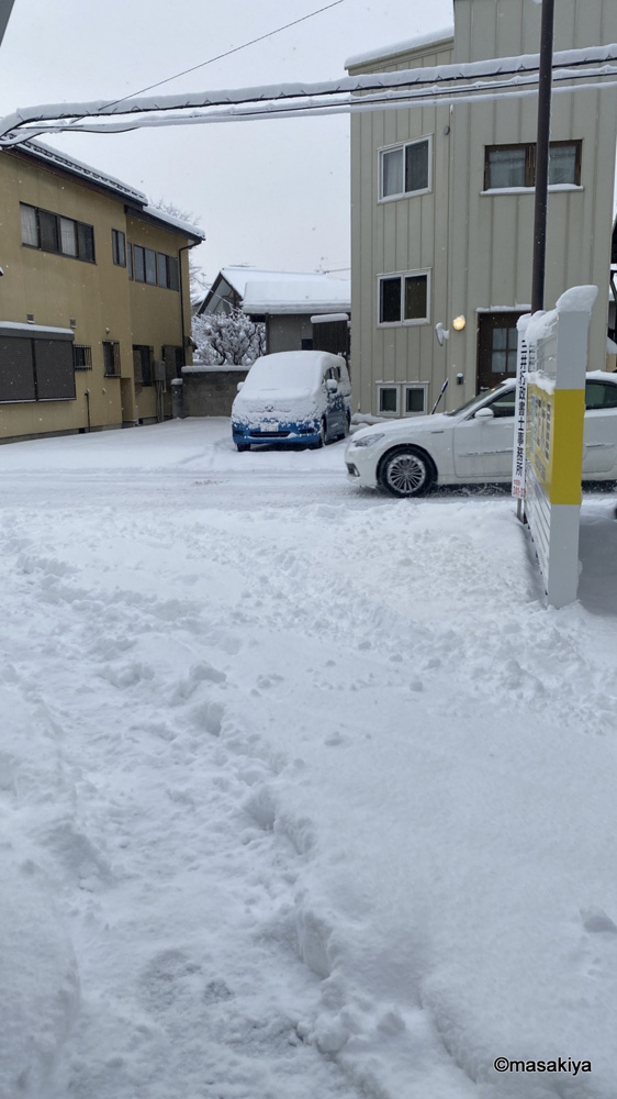大雪の画像