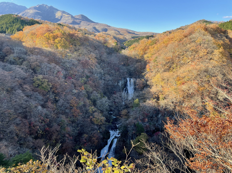 パワースポット☆の画像