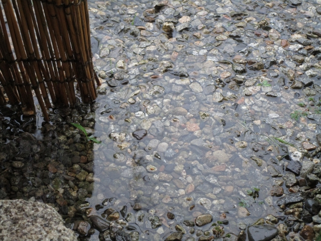 不動産購入後によくある問題！雨が降ったあと庭に水が溜まる原因と対策は？