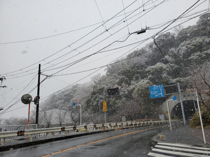 久しぶりの雪景色の画像