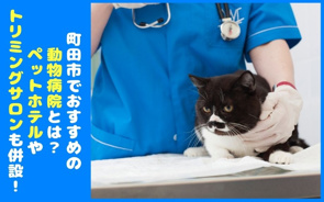町田市でおすすめの動物病院とは？ペットホテルやトリミングサロンも併設！の画像
