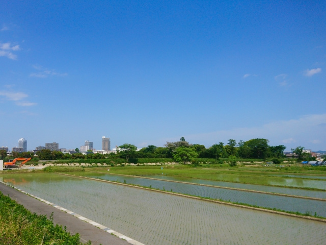 草津市にある「道の駅グリーンプラザからすま」の特徴についてご紹介！の画像