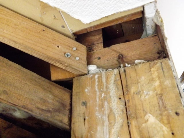 シロアリ被害がある不動産のおすすめの売却方法や売却のコツとは