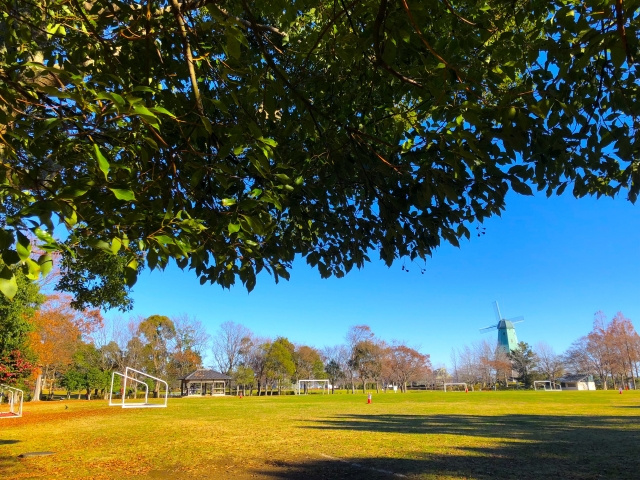 茨城県土浦市の霞ヶ浦総合公園に行ってみよう！おすすめスポットをご紹介の画像