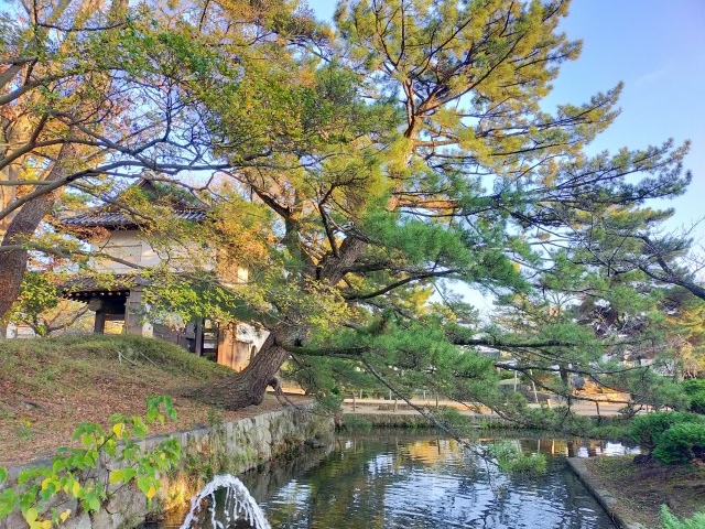 茨城県土浦市の亀城公園は散歩におすすめ！歴史ある公園を散策しようの画像