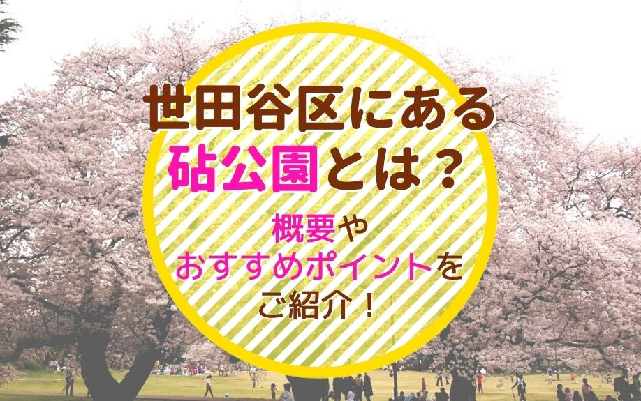 世田谷区にある砧公園とは？概要やおすすめポイントをご紹介！の画像