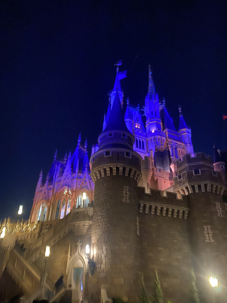 お誕生日ディズニーランド④☆彡の画像