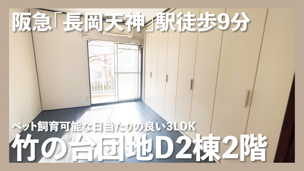 YouTubeが週2投稿になります‼️の画像