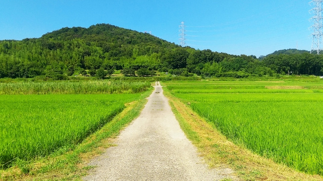 人気の田舎暮らしとは？目的や方法も解説！の画像