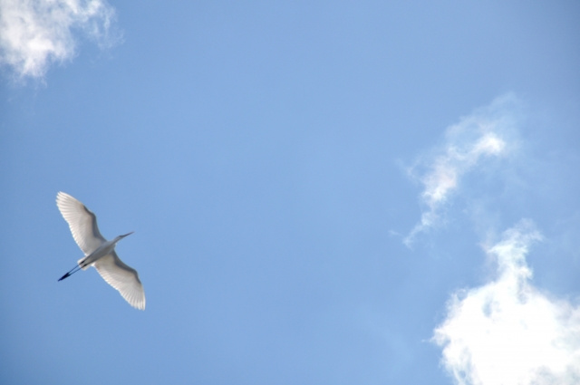 遠方から大正区周辺の不動産を売却する際のポイントの画像