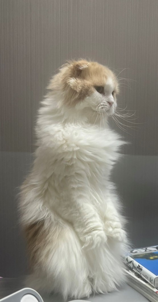 日が伸びましたね！の画像