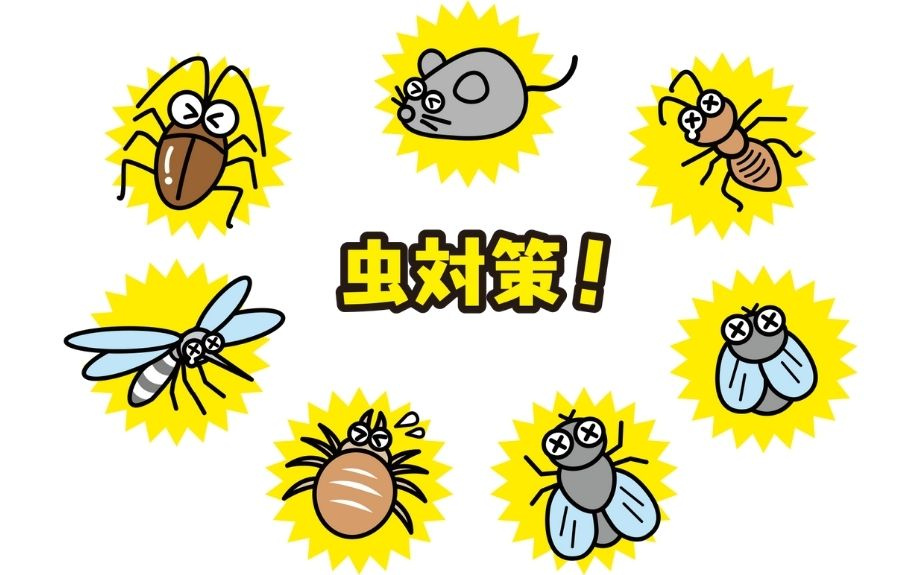 自分でできる賃貸物件での防虫対策とは？