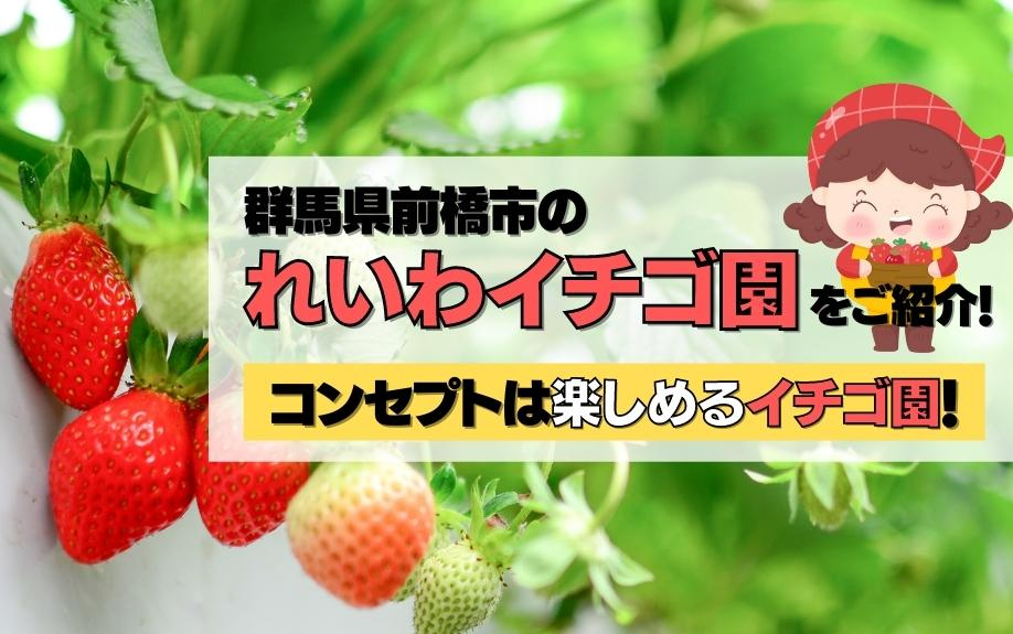 群馬県前橋市のれいわイチゴ園をご紹介！コンセプトは楽しめるイチゴ園！の画像