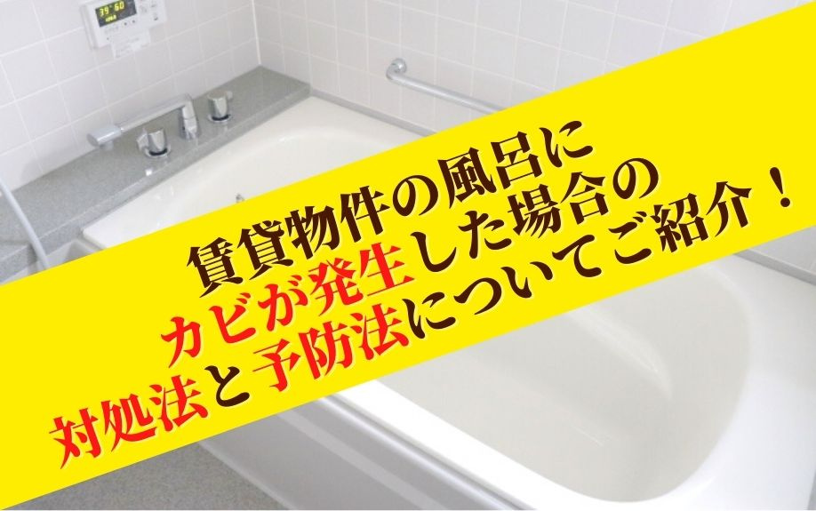 賃貸物件の風呂にカビが発生した場合の対処法と予防法についてご紹介！