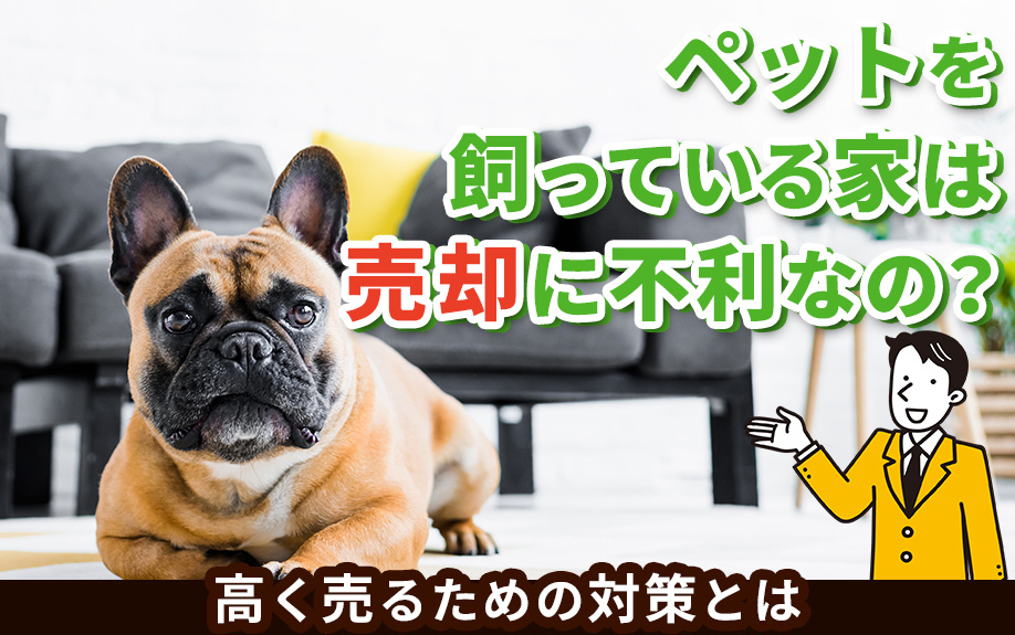 ペットを飼っている家は売却に不利なの？高く売るための対策とはの画像