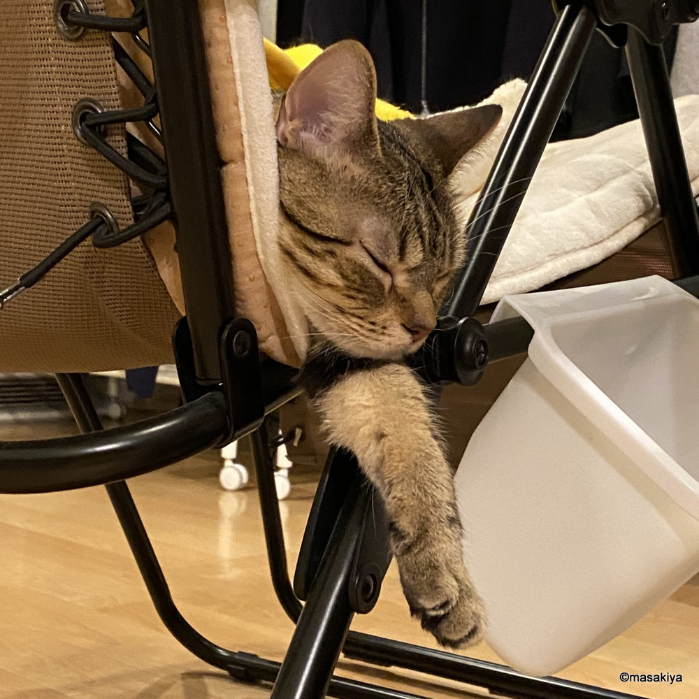 寝相の画像