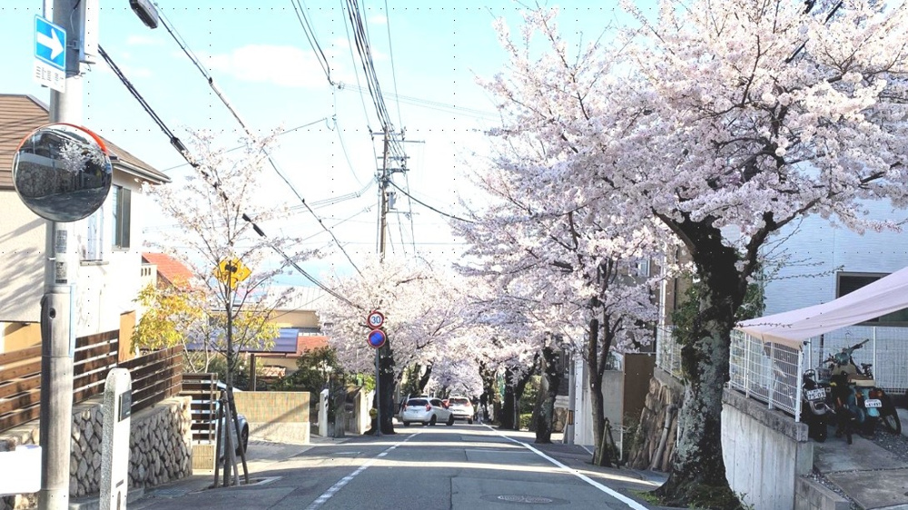 好評販売中　神戸市灘区箕岡通　売土地の画像