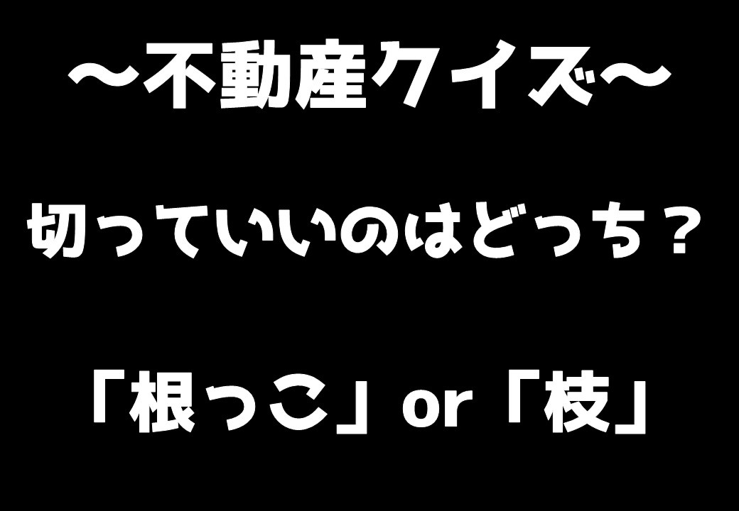 不動産クイズ① ～日高市高麗川駅前不動産コラム～の画像