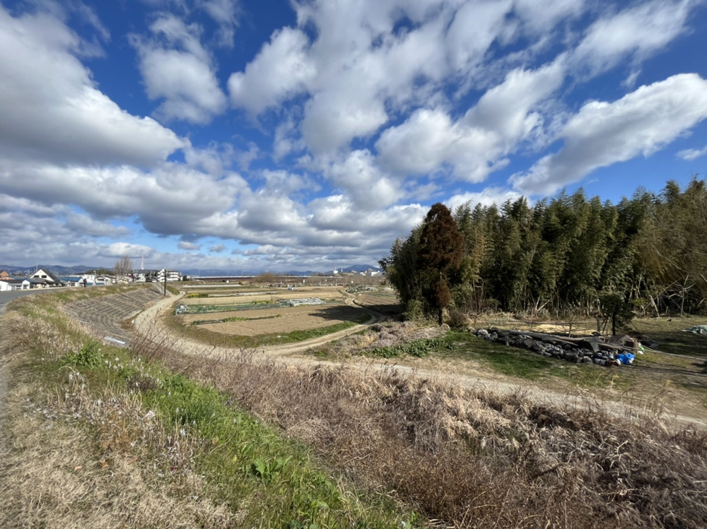 ご家族とのお散歩にどうですか？の画像