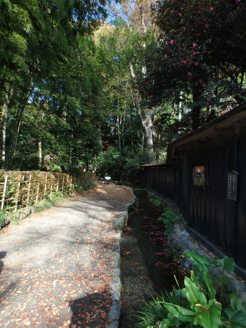 国分寺周辺ぶら散歩の画像