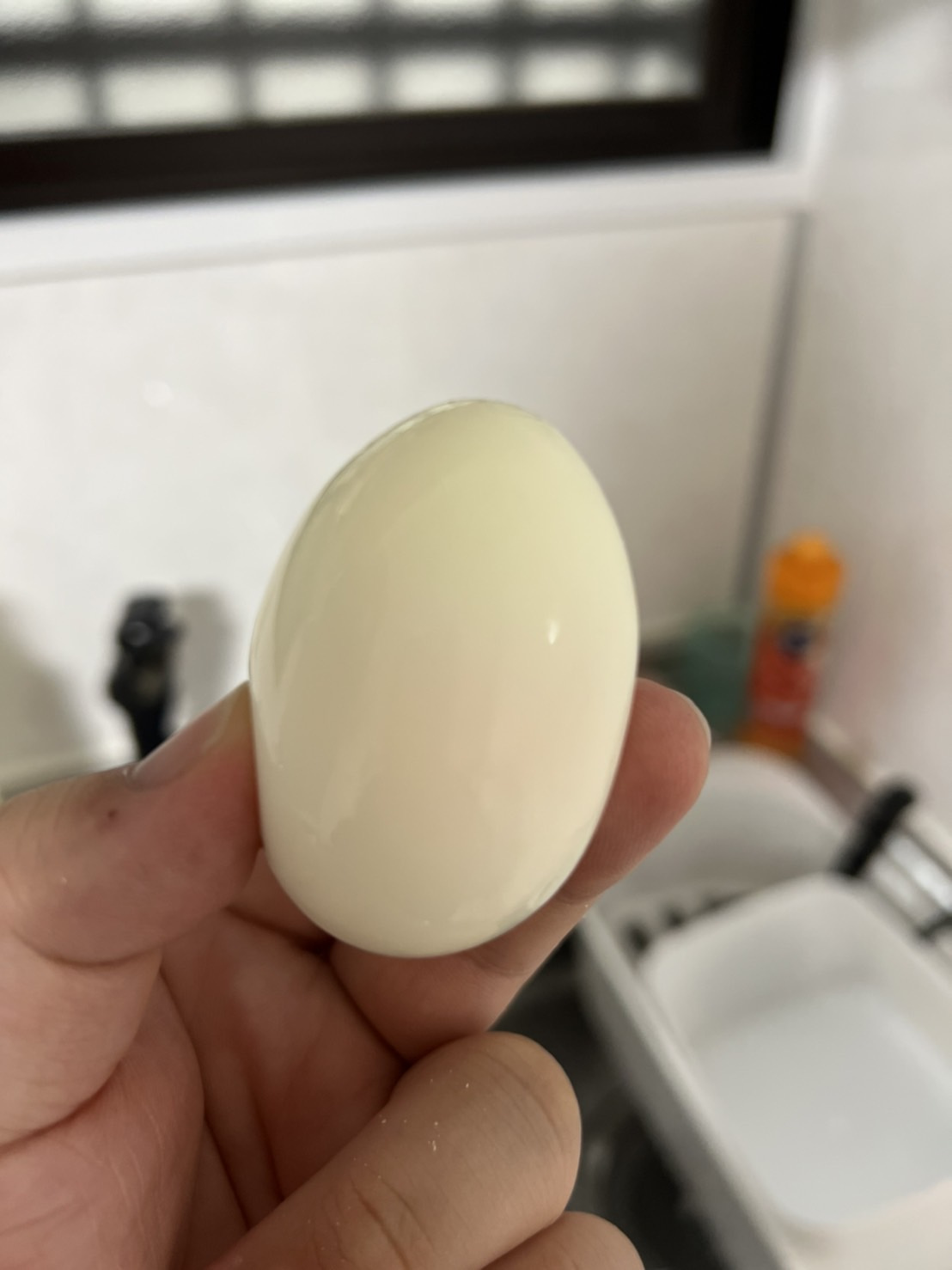 初めて知りました(´;ω;｀)の画像