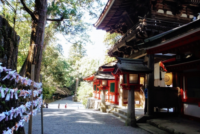 「神宮」は普通の神社とはどう違うの？