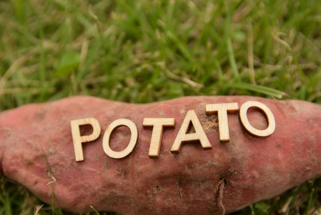 ふじみ野市で「ふじみ野ブランド」に認定されているお菓子をご紹介！の画像