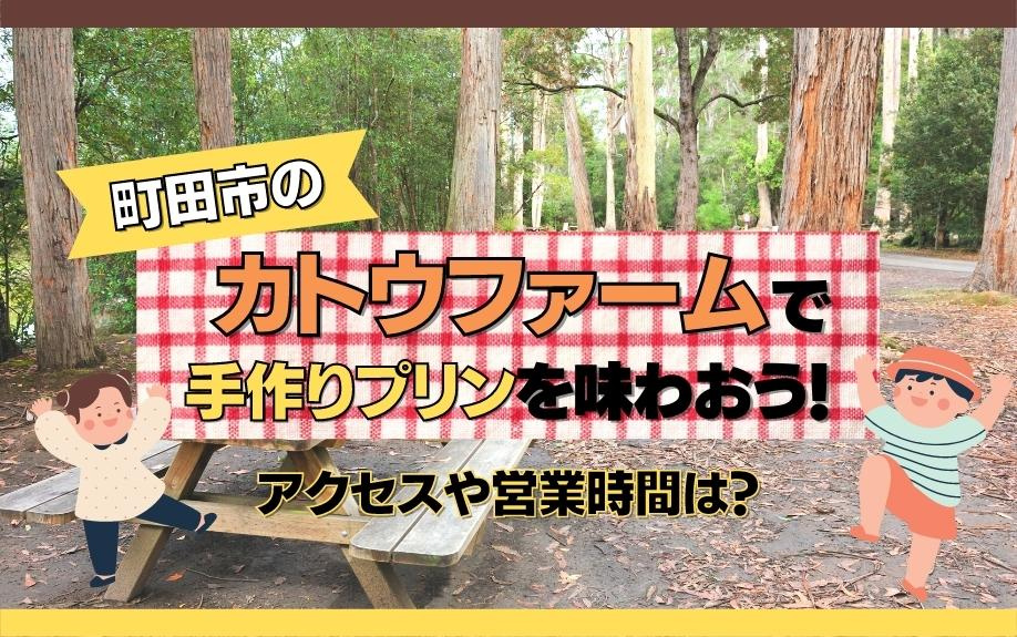 町田市のカトウファームで手作りプリンを味わおう！アクセスや営業時間は？の画像