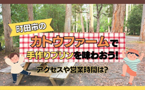 町田市のカトウファームで手作りプリンを味わおう！アクセスや営業時間は？の画像