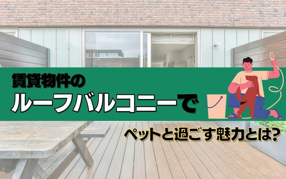 賃貸物件のルーフバルコニーでペットと過ごす魅力とは？