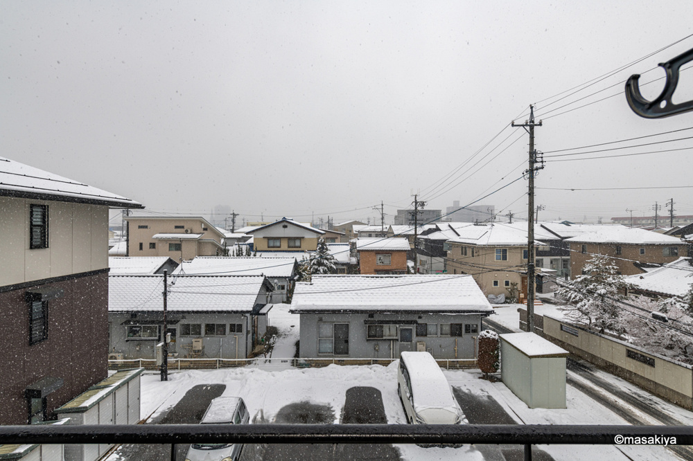 雪の日の撮影の画像