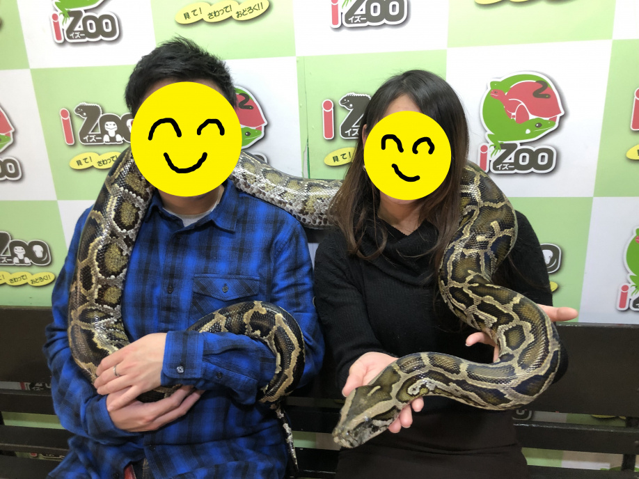 亀仙人の話の画像