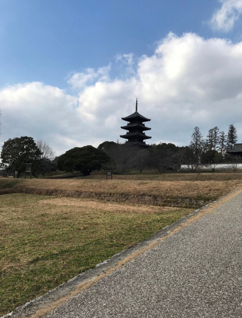 住み続けたい街ランキングの画像