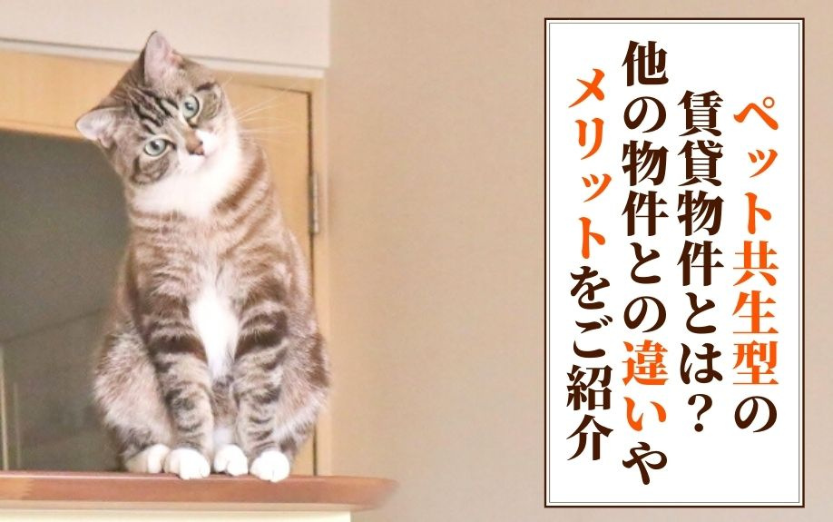 ペット共生型の賃貸物件とは？他の物件との違いやメリットをご紹介