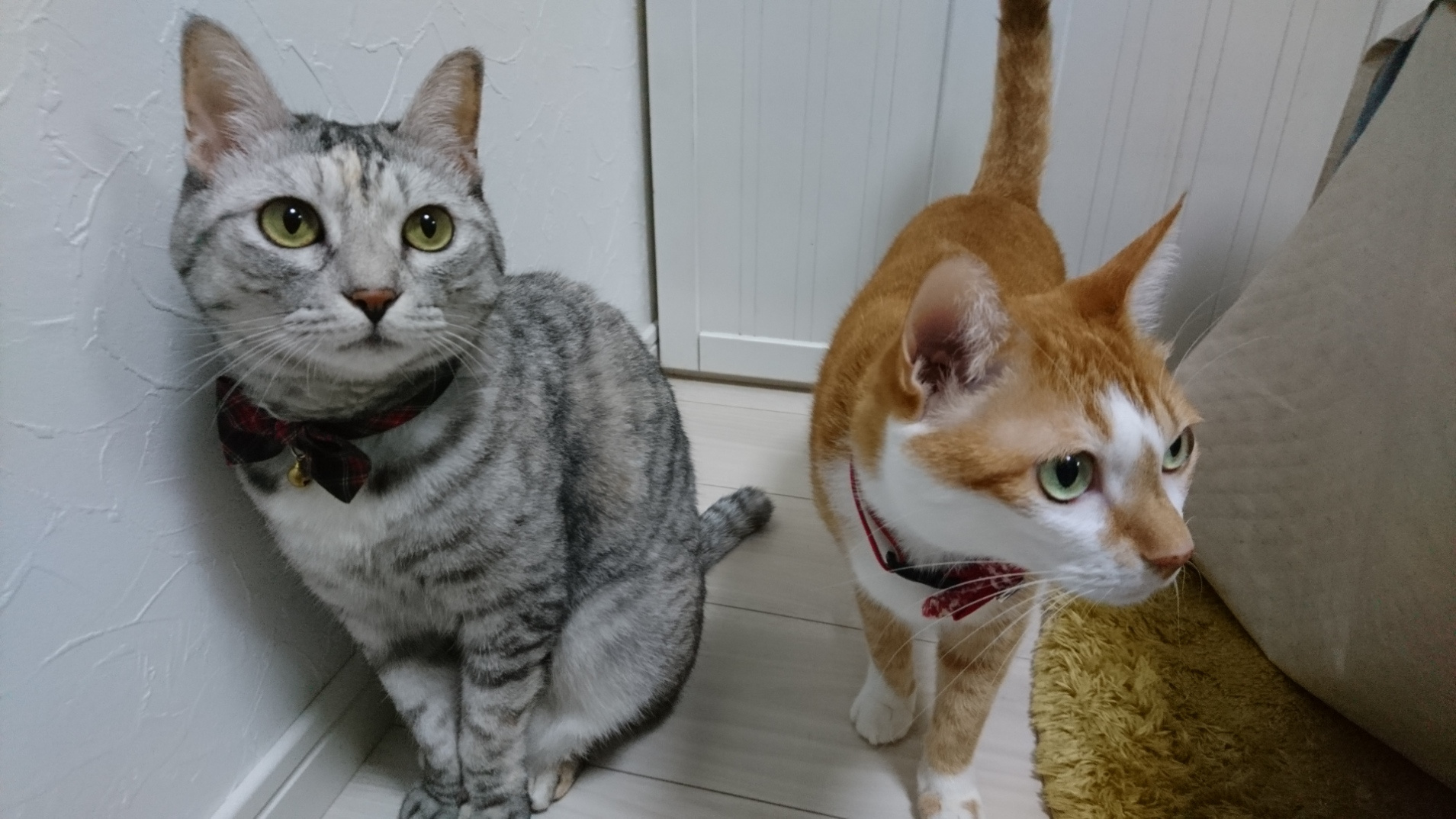 役員のご紹介の画像
