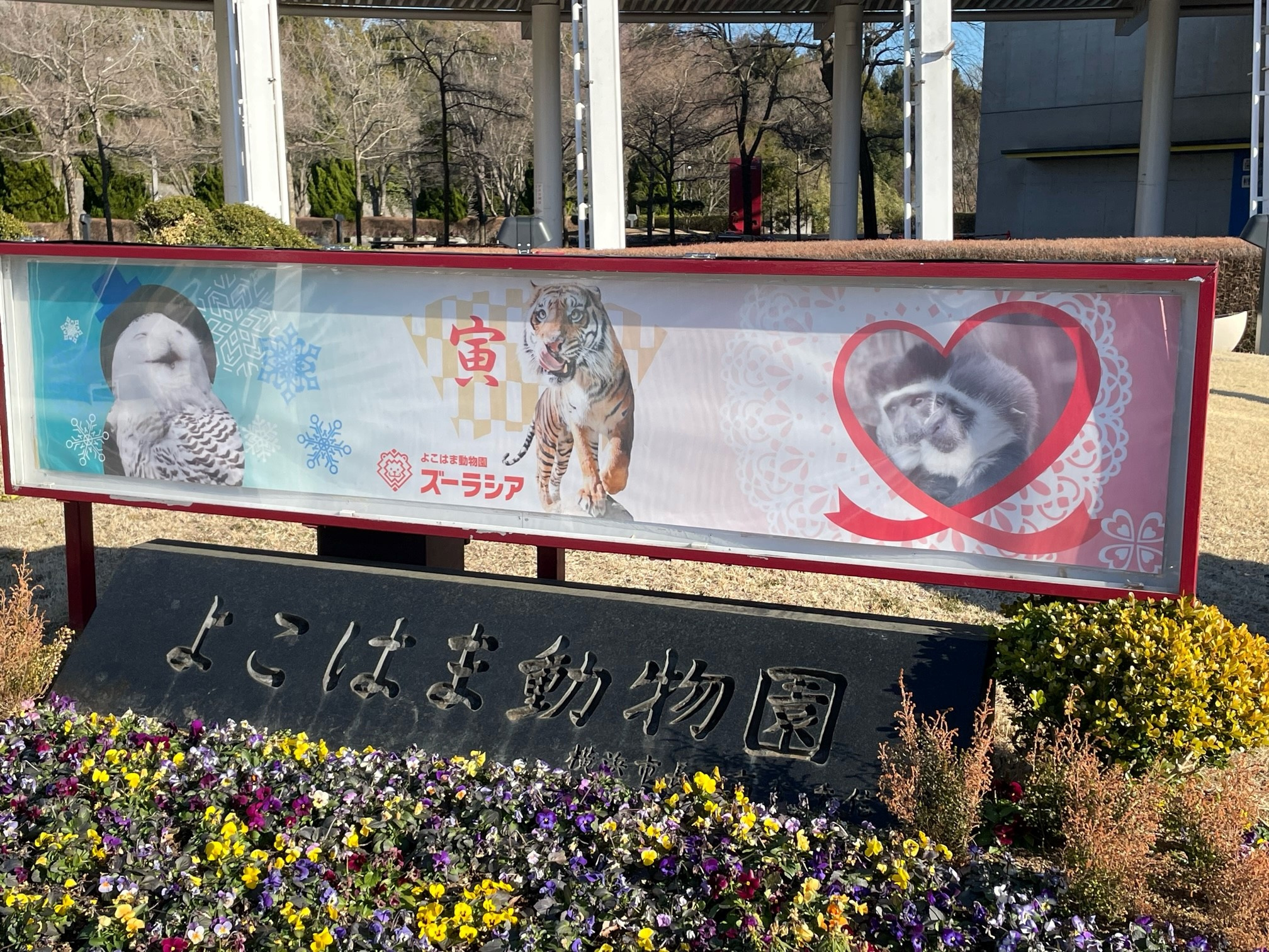 動物園の画像