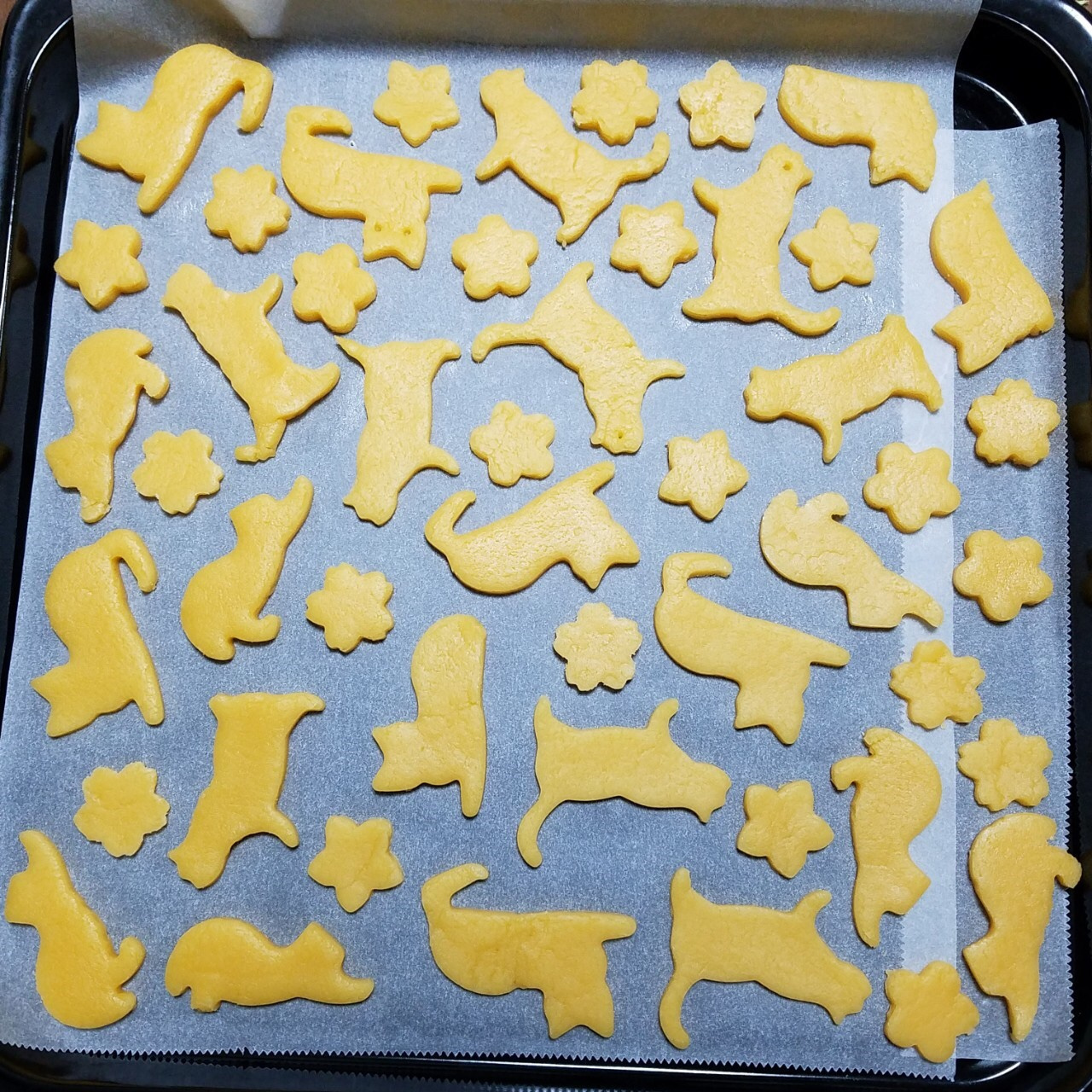 明日はスーパー猫の日(=^・・^=)の画像