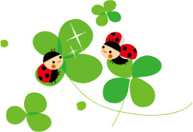 生活保護の受給条件の画像