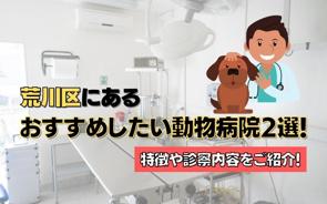 荒川区にあるおすすめしたい動物病院2選!特徴や診察内容をご紹介!の画像
