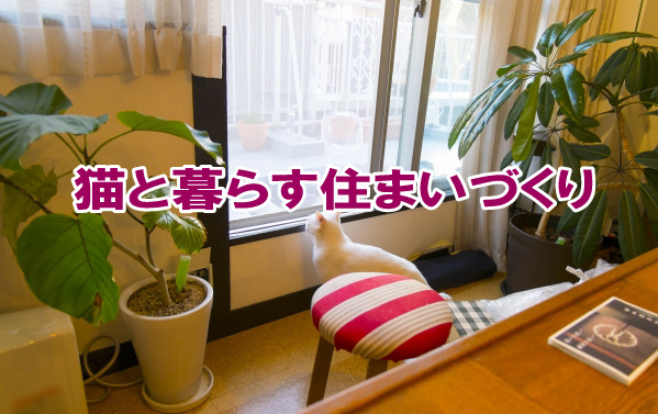 猫と暮らす住まいづくりの画像