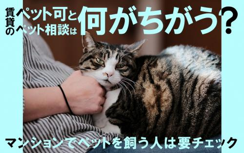 賃貸のペット可とペット相談は何がちがう？マンションでペットを飼う人は要チェックの画像