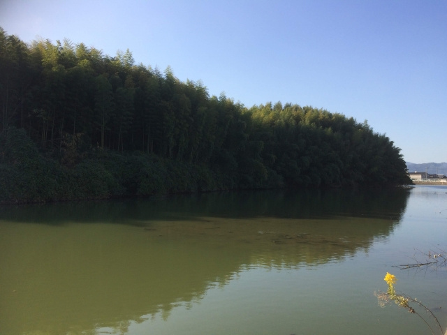 奈良は古墳時代の中心地！