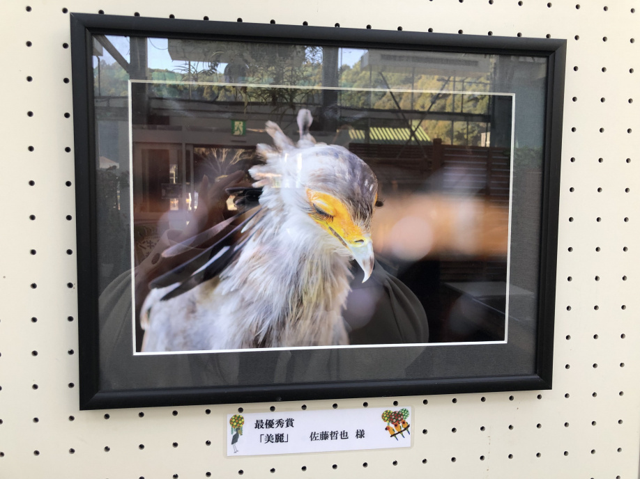 桶川花鳥園の画像